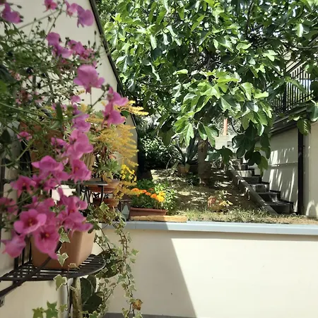 Sanmarco54 تشيزينا