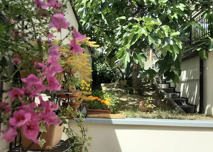 Sanmarco54 تشيزينا