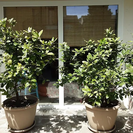 Vendégház Sanmarco54 3*