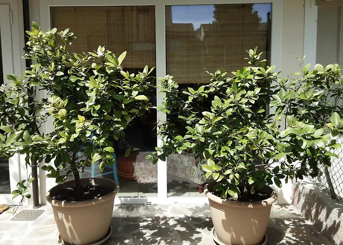 Pensjonat Sanmarco54 3*